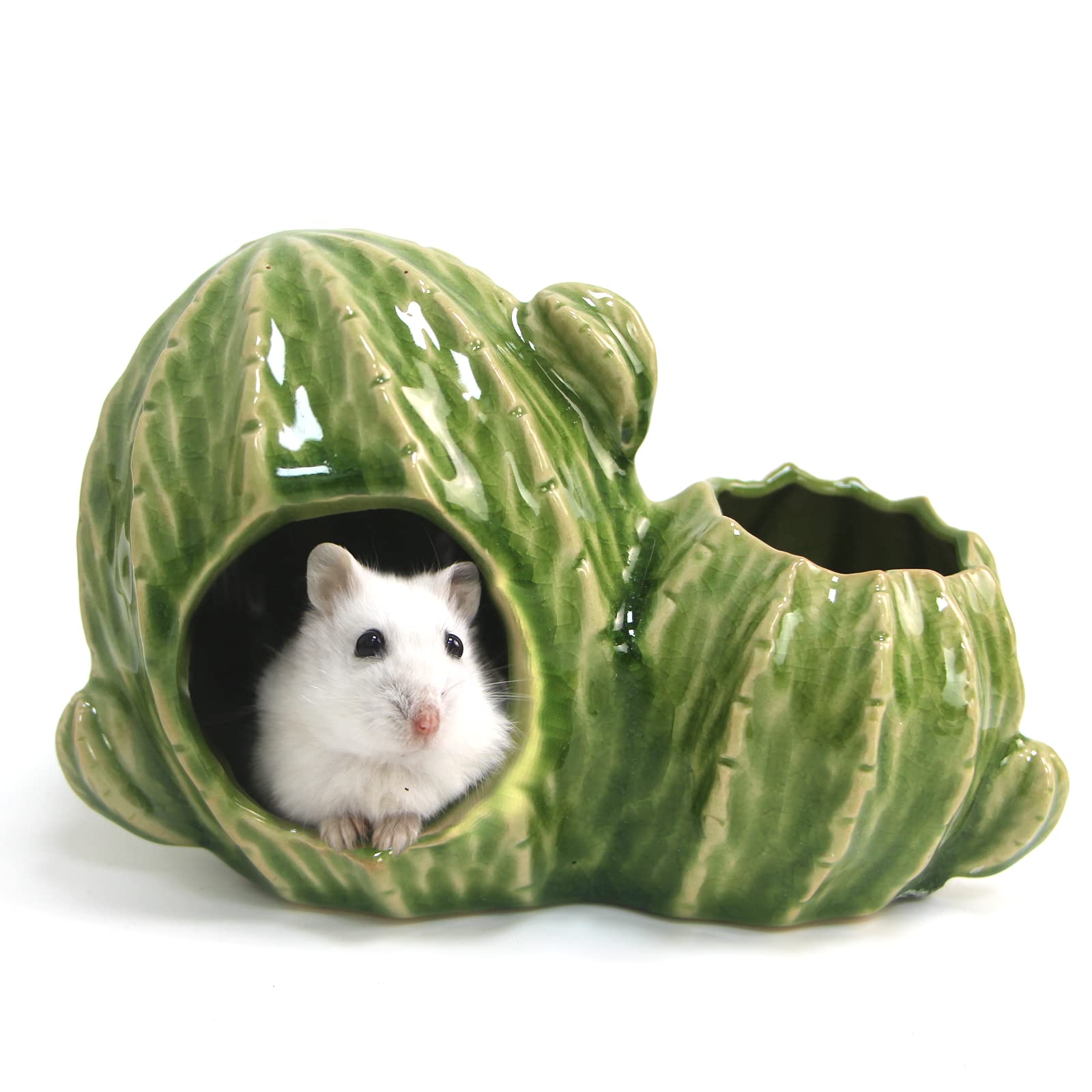 Illustration of Huge Hamster Hideaways