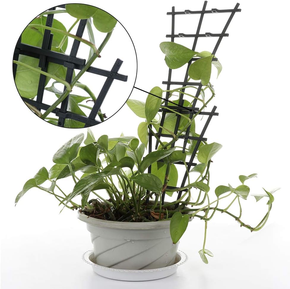Climbing Plants Support 2pcs Plant Growing Support Frame