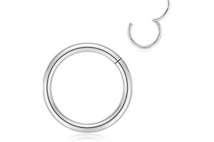 FUNLMO 316L Surgical Steel Hinged Nose Rings Hoop 20G 18G 16G 14G 12G 10G 8G 6G 4G 2G 0G 00G Piercing Ring for Nose Septum Cartilage Helix Tragus Conch Rook Daith Lobe 5mm to 16mm 1Pc