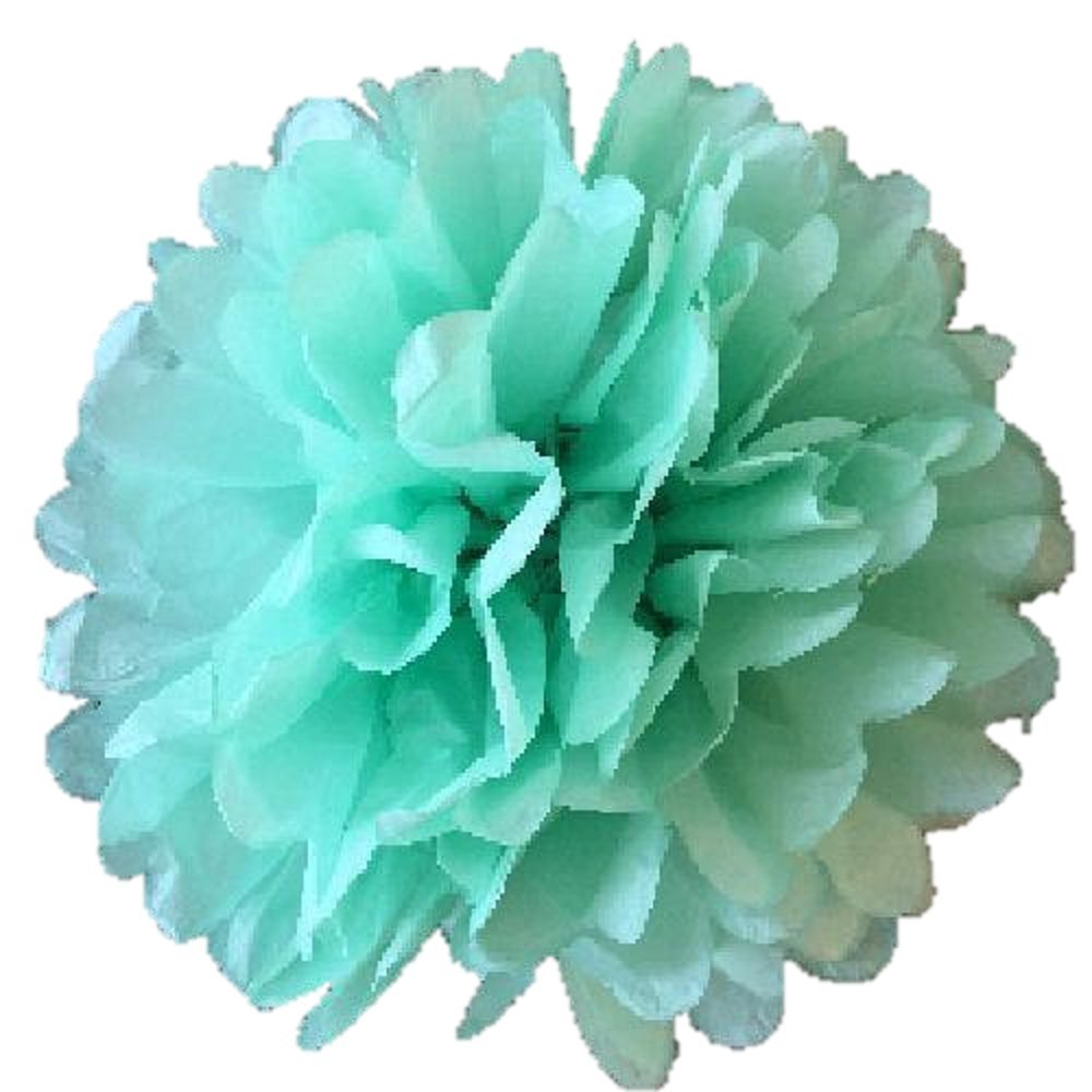 Tissue Paper Pompoms 8"(20CM) Pack of 10 Wedding Party Decorations pom pom (Mint Green)