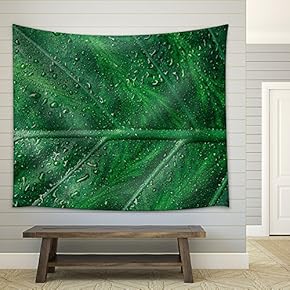 Beautiful Green Leaf with Shiny Drops - Fabric Wall Tapestry Home Decor - 51x60 inches