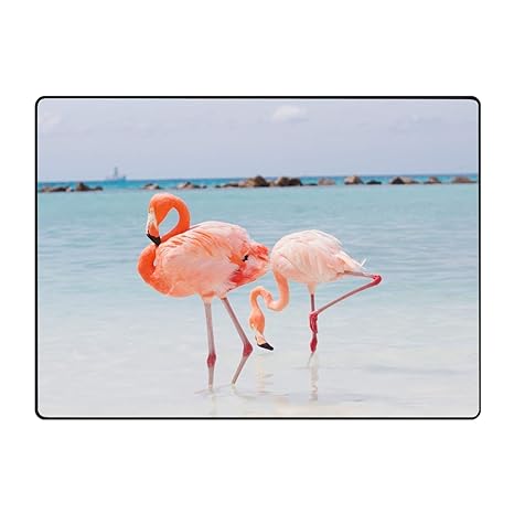 Amazoncom Tzkdhca Non Slip Backing Doormat Pink Flamingo