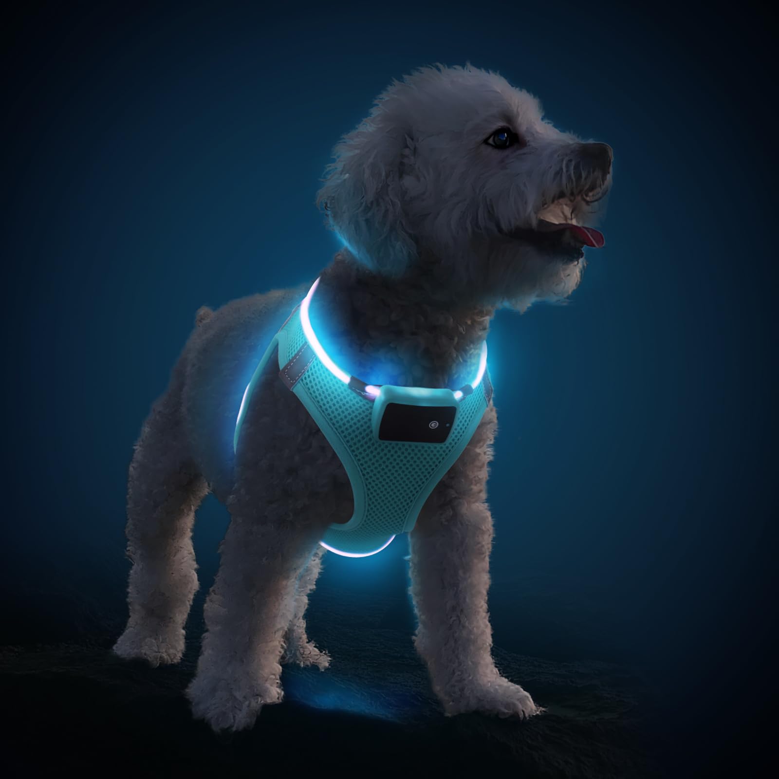 Photo 1 of PceoTllar Light Up Dog Harness, LED No Pull Reflective Dog Harness, Flashing Lighted for Night Walking - Small/Medium, (Blue S)