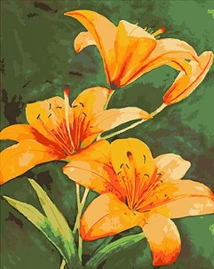 Fleur De Lys Peinture Diy Par Numéros Kit Coloriage Par