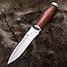 Grand Way Hunting Knife - Fixed Blade Survival Bowie Stainless Steel Knife with Wood Handle - 2654 WP