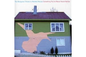 The Bluegrass Tribute to Modest Mouse : Something You've Never Heard Before