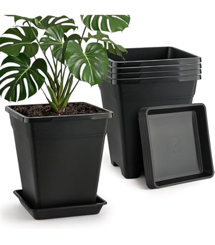 Sunpack 9"x9" Square Pot, Black 10" Tall - Image 6