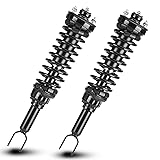 Rear Complete Strut Shock Absorber with Coil Spring
