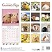 Guinea Pig Calendar - Cute Animal Calendar - Calendars 2016 - 2017 Wall Calendars - Animal Calendar - Guinea Pigs 16 Month Wall Calendar by Avonside