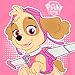 Paw Patrol Girls' Skye Pajamas Multicolored 3T
