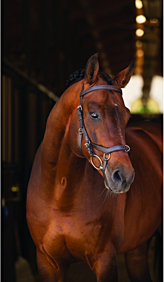 HorsewareRambo Micklem Multibridle 3 in 1 bridle bridle