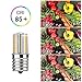 DiCUNO E17 LED Bulb Dimmable, Under Microwave Oven Appliance Light, 4W (30W Incandescent Equivalent), Warm White 3000K, AC110-130V for Stove Top Lights, Kitchen Lighting (2-Pack)