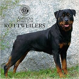 seresto for extra large dogs