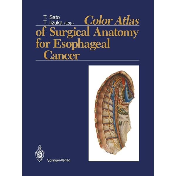 Color Atlas of Microneurosurgery: 9783131111029: Medicine & Health