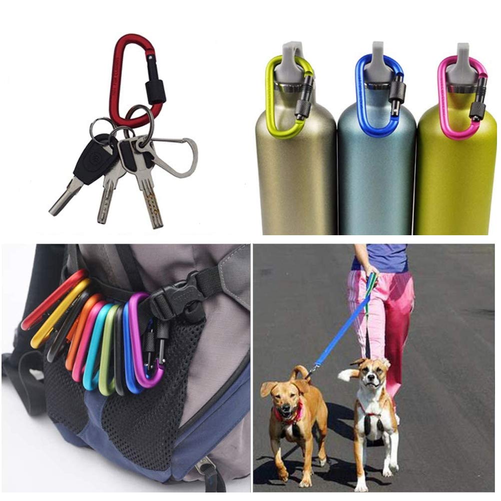 Onwon Aluminum Carabiner D-Ring Locking Key Security Camping Climbing Hiking Keychain ( 10 PCS): Beauty
