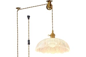 Oyisen Hanging Lamp Plug in,Golden Adjustable Light Cord Plug in Pendant Light 9.8 Inch Glass Lampshade Hanging Ceiling Light Kitchen Island Pendant Lights for Bedroom with Light Bulb