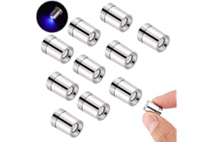 BTFO 10pcs LED Mini Lights, Small Led Lights for Dollhouse Silver Plastic Battery Included Doll House Electric Lights for Paper Lantern Party Decoration Crafts Dollhouse Accessories(Blue Light)