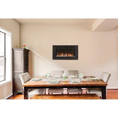 Buy Napoleon 42 Inch Allure Wall Mount Electric Fireplace Nefl42fh Online In Germany B016eg491o