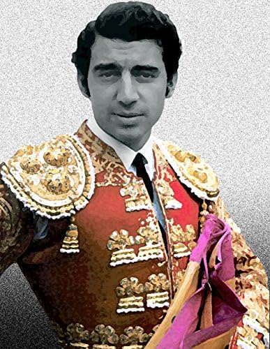 The young Matador Manolo Martines