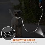 Taglory Rope Dog Lead with Padded Handle 1.0 cm 1.8 m Reflective Small Dogs view 5
