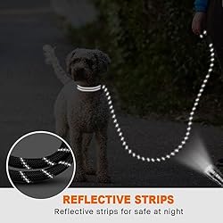 Taglory Rope Dog Leash 5 FT with Comfortable Padded