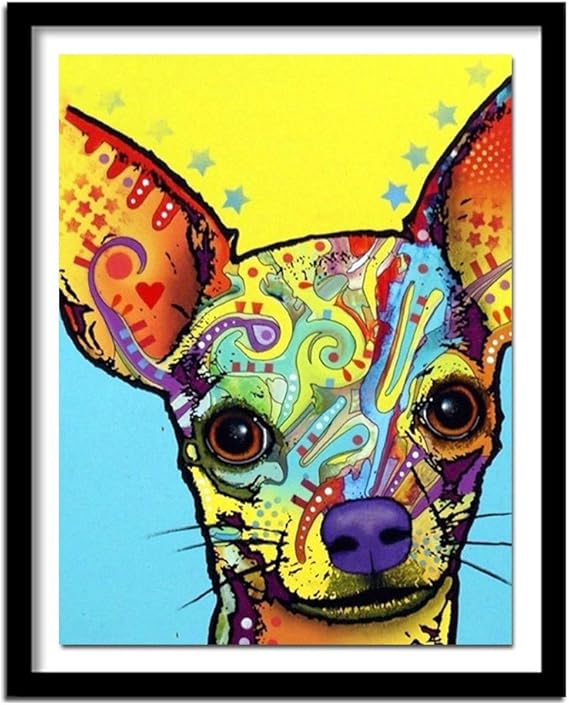 Amazon.com: DIY 5D Diamond Painting Kits for Adults/Kids, Colorful