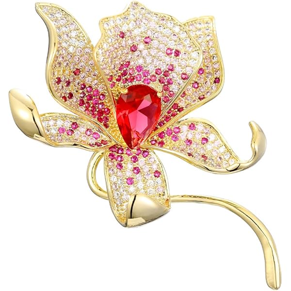 Amazon.com: Napier Women's Classics Multicolored Hummingbird