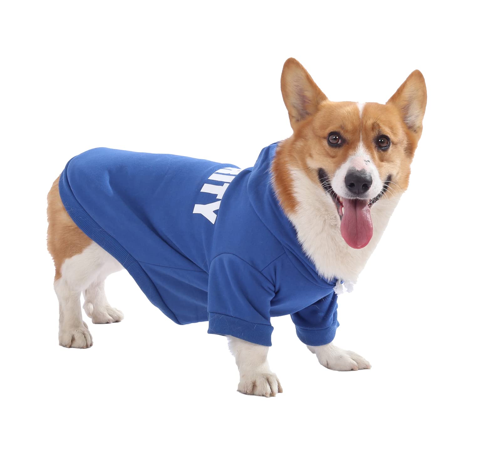 Dog Hoodie,Fashion Soft Cotton Pet Hoodie Hooded Clothes Warm Autumn Winter Coat T-Shirt Costume Apparel for Cats Puppy Small Dogs (X-Small, Blue)