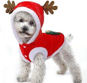 medium dog christmas outfits