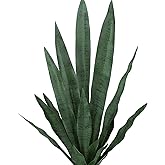 summer flower 23in Snake Plant Artificial Leaf Set 21pcs Faux Sansevieria Plant Leaves Tall Fake Snake Greenery Outdoor 4 Sizes for Indoor Home Decor Office Garden Tabletop Floor Decorations