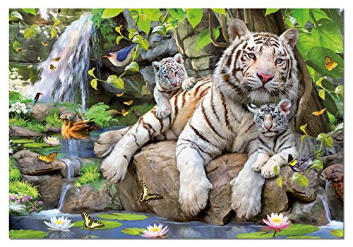 White Tigers Of Bengal