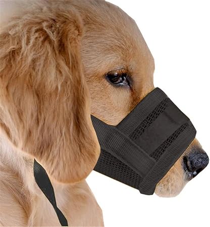 black dog muzzle