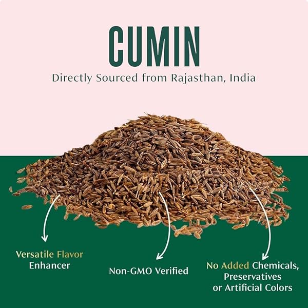 VAHDAM, CUMIN POWDER (2.47OZ/70G) 100% RAW WHOLE CUMIN GROUND (CUMINUM CYMINUM L.) ADDS FLAVOR AND TASTE | DIRECT FROM SOURCE