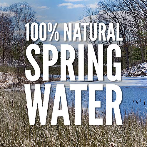 Ice Mountain Spring Water 128 oz - Image 2