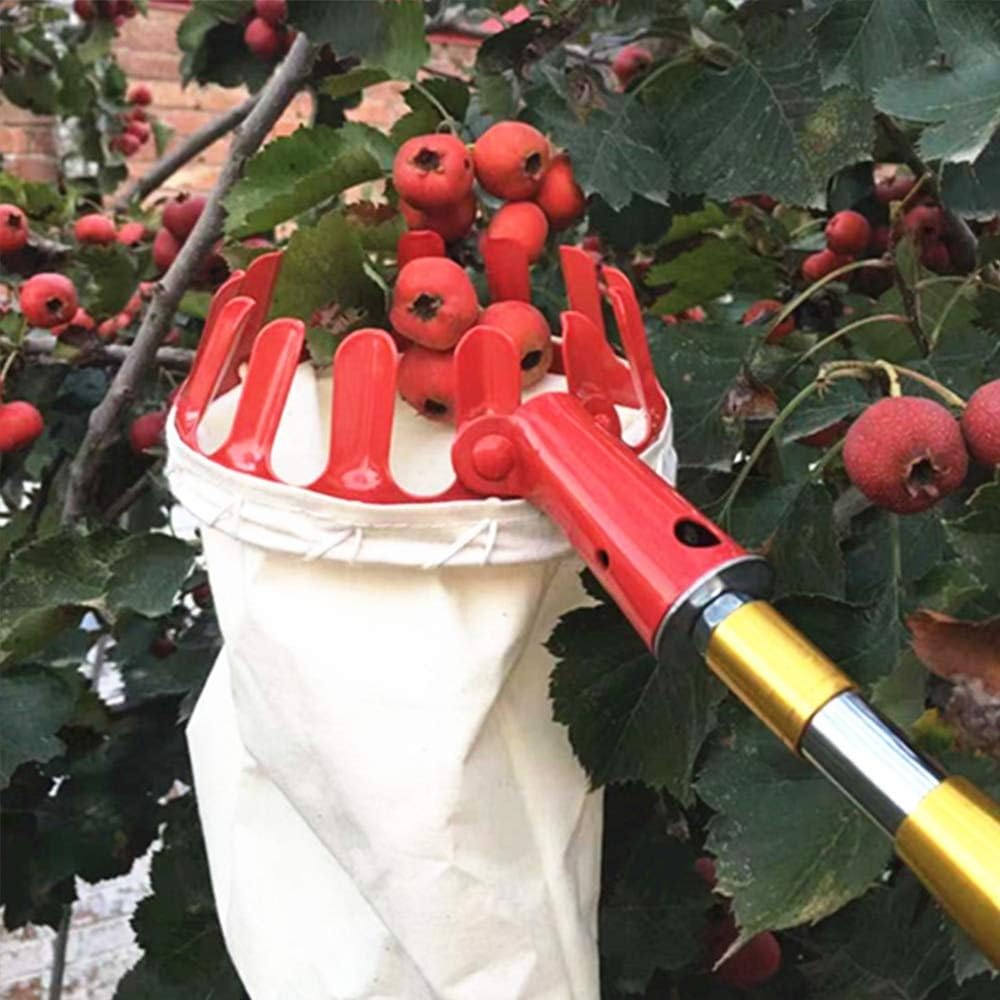 Best Design Yard Hardware Outside Pruning Fruit Catcher Collector