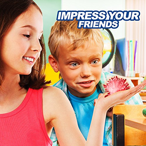 Crystal Growing Kit For Kids - Evviva Sciences - Science Kit To Make & Grow Rocks, Crystals, Gems - Easy All Inclusive Set - Chemistry, Geology & Learning Experiment Toy - w/ eBook