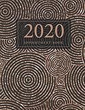 2020 Appointment Book: Antique Gold Cover | 52 Weeks Daily Hourly Appointment Planner Organizer Date by M.H. Angelica