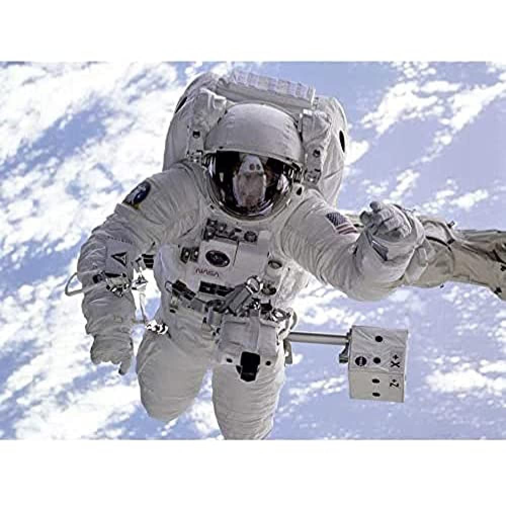 Space NASA Astronaut Shuttle Endeavour Robot Arm Photo Art Print Canvas Premium Wall Decor Poster Mural