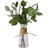 Huaxy Artificial Eucalyptus Stems in Glass Vase with Faux Water for Table Centerpieces, Fake Eucalyptus Stems and Leaves Greenery in Vase for Home Office Decor