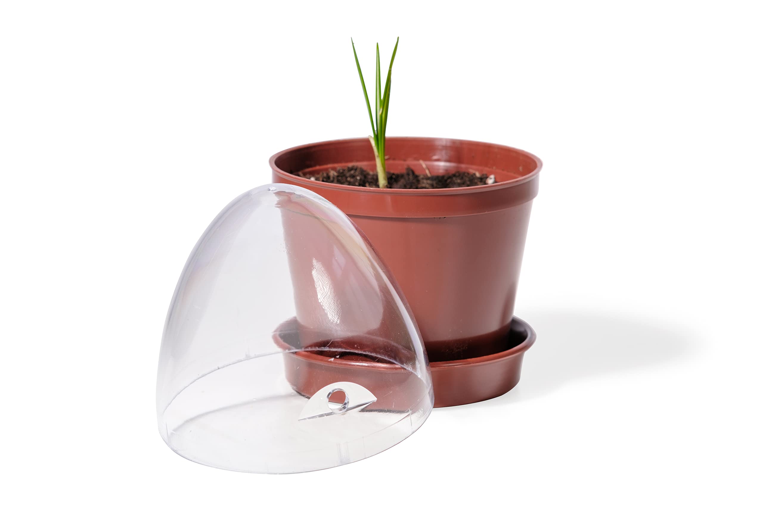 Kimmel Propagation Pot Set of 12 with Practical Storage Box, Plastic