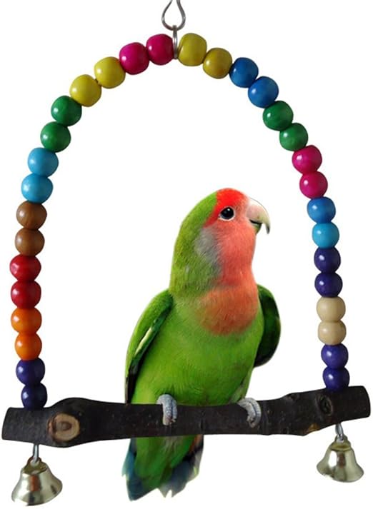budgie pet shops near me