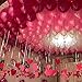 72Pcs 12Inch Pearl Balloons Thicked Latex Balloons For Birthday Parties Wedding Decoration Supplies or Arch Decorations(Rose Red&Pink&White)