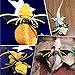 Bearded Dragon Harness and Leash Adjustable (S, M, L, 3 Pack), Berdid Dragon Accessories - Soft Leather Reptile Lizard Leash with Cool Wings for Amphibians, Iguana, Leopard Gecko and Small Pet Animals