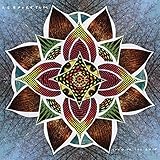 [Image: 61psQwYo7mL._AC_US160_.jpg]