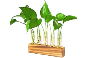 HUNIUPORE Plant Propagation Stations Terrarium with Wooden Stand-Desktop Glass Bulb Plant Vase for Hydroponics Plant Cutting Home Office Garden Decor Plant Lover Gift (Style F)