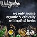 WishGarden Herbs - Serious Cough, Organic Herbal Cough Suppressant Supplement, Soothes and Calms Common Throat and Bronchial Irritation (2 Ounce Pump)