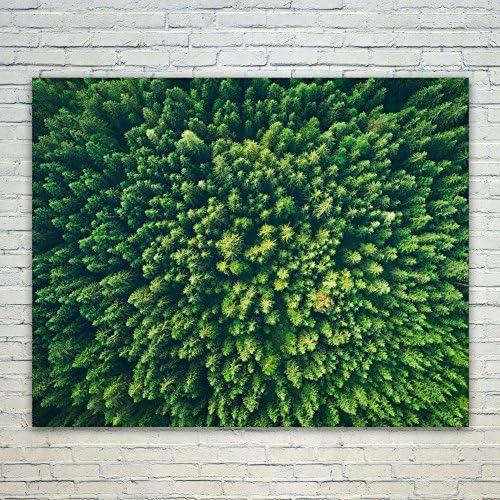 Westlake Photography - Poster Print Wall - Vegetation Green - Modern Picture Photography Home Decor Office Birthday Gift - Unframed - 16x20in (od9 903)