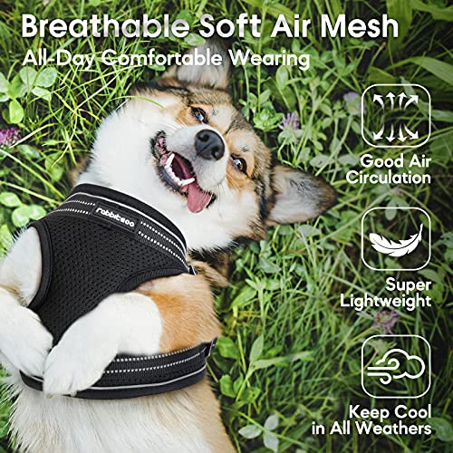 rabbitgoo Small Dog Harness, Soft Mesh Dog Harness with 4 Adjustable