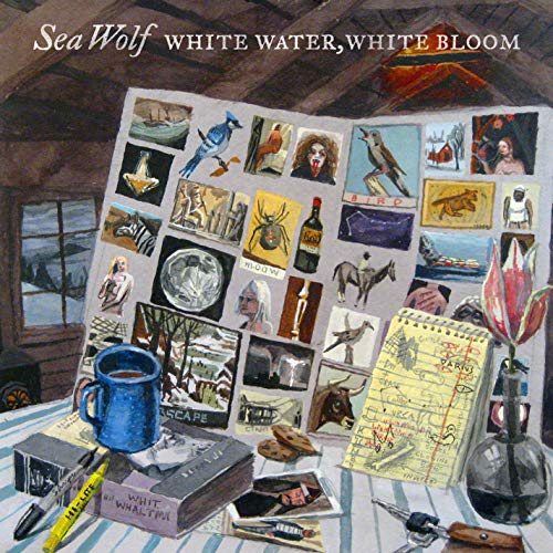 Album art for White Water, White Bloom by SEA WOLF