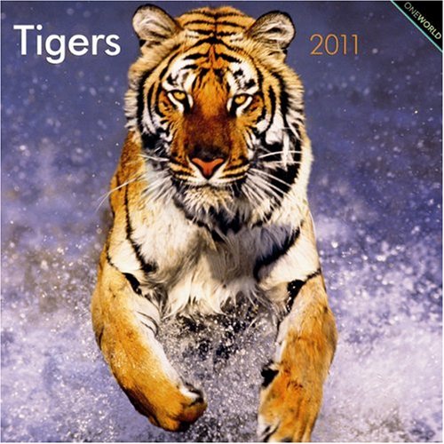 Tigers 2011 Square 12X12 Wall Calendar